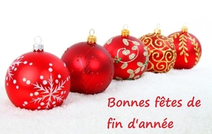 L'ensemble du comité vous souhaite à tous de très bonnes fêtes de fin d'année.