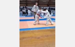 3ème Tournoi mini-poussins/poussins