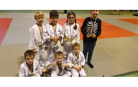 Tournoi de Sainte Marie aux Chênes  17 novembre 2019 poussins et mini poussins