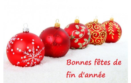 L'ensemble du comité vous souhaite à tous de très bonnes fêtes de fin d'année.